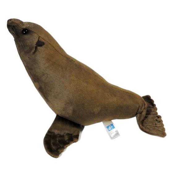 仙台 うみの杜水族館 アシカ ぬいぐるみ 51AZ+Ta0kHL._UF350,350_QL80_.jpg