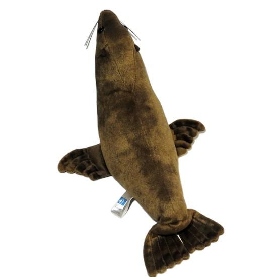 アシカのぬいぐるみ 水族館グッズ 海獣 海の動物 A-SHOW（栄商