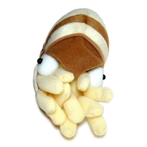 オウムガイのぬいぐるみ 水族館 グッズ おみやげ A-SHOW（栄商