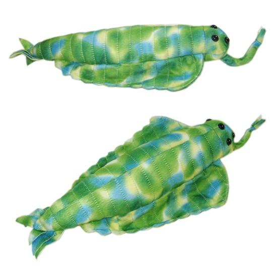 古代生物 古代魚 ぬいぐるみ・グッズ A-SHOW（栄商） カンブリア紀 海