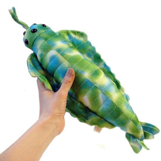 古代生物 古代魚 ぬいぐるみ・グッズ A-SHOW（栄商） カンブリア紀 海