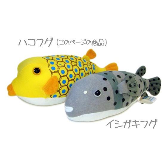 フグのぬいぐるみ 水族館 グッズ おみやげ A Show 栄商 お魚シリーズ ハコフグ 27cm まんぼう屋ドットコム As 5675b まんぼう屋ドットコム Yahoo 店 通販 Yahoo ショッピング