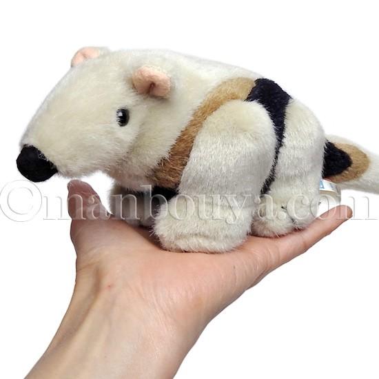 コアリクイ ぬいぐるみ 動物 A Show 栄商 ミナミコアリクイ S 27cm As 5852b まんぼう屋ドットコム Yahoo 店 通販 Yahoo ショッピング