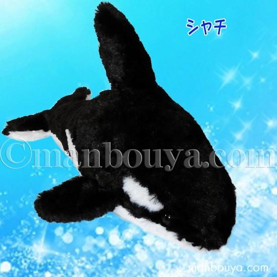 イルカセット Amazon | シルバニアファミリー ゆうえんち 【 ゆうえんち
