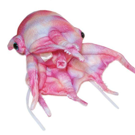 深海生物のぬいぐるみ 水族館 グッズ おみやげ A Show 栄商 コウモリダコ 27cm まんぼう屋ドットコム As 6425 まんぼう屋ドットコム Yahoo 店 通販 Yahoo ショッピング