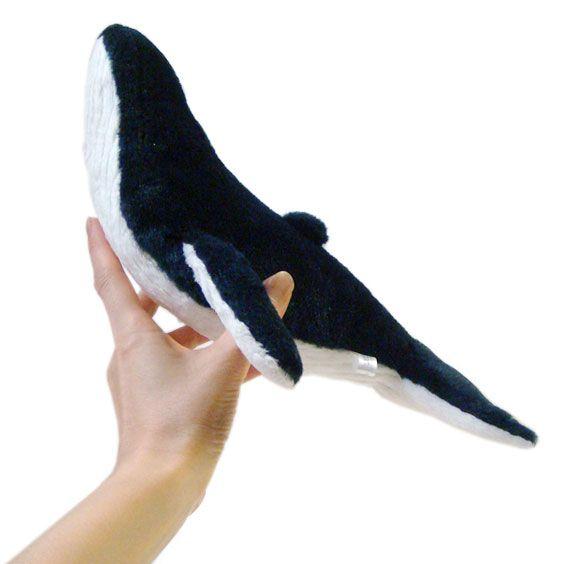 クジラのぬいぐるみ　水族館 グッズ　おみやげ　A-SHOW（栄商）　ザトウ鯨30cm　まんぼう屋ドットコム｜manbouya｜04