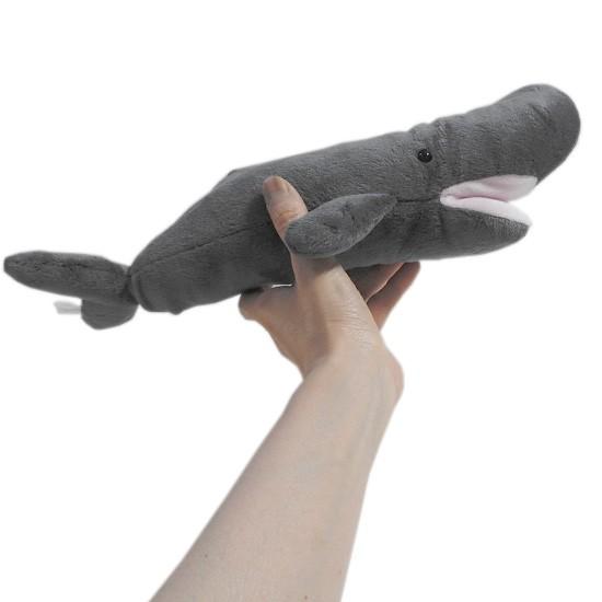 くじらのぬいぐるみ 水族館 グッズ A-SHOW（栄商） 海のおともだちmar