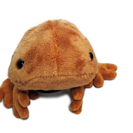 サンショウウオのぬいぐるみ グッズ 雑貨 A-SHOW cutie