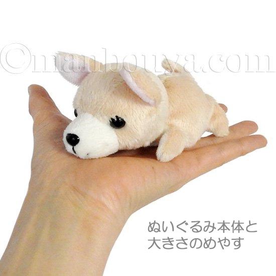 タグ付き　サンアンドスター　ぬいぐるみ　チワワ 41blcNHArlL.jpg_BO30,255,255,
