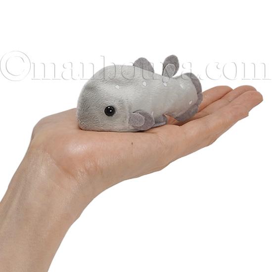 シーラカンス ぬいぐるみ 深海魚 グッズ Little Beans リトルビーンズ