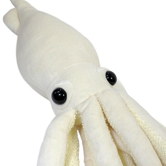 ダイオウイカのぬいぐるみ ダイオウイカ ぬいぐるみ 深海生物 水族館 おみやげ A-SHOW 栄商