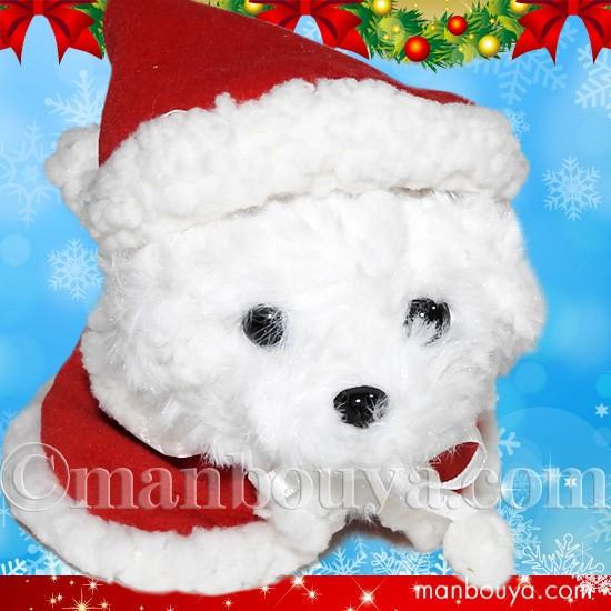 クリスマス ぬいぐるみ 犬 A-SHOW リトルビーンズ マルチーズ サンタ