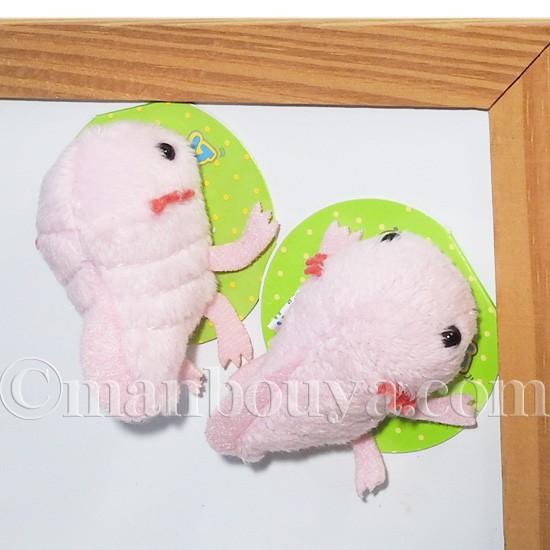 ウーパールーパー ぬいぐるみ A Show 栄商 ムニュマム マグネット アホロートル ピンク 6cｍ メール便発送可 As 7655p まんぼう屋ドットコム Yahoo 店 通販 Yahoo ショッピング