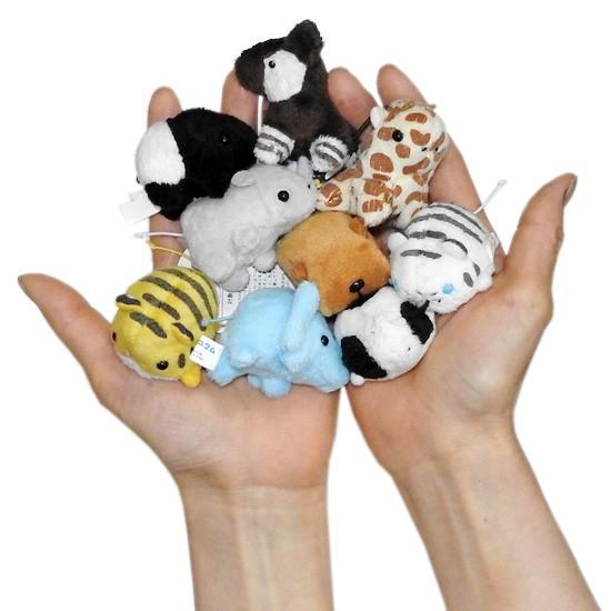 動物 カピバラ ぬいぐるみ 小さい ミニ 動物園 A Show ムニュマムお手玉 かぴばら 4 5cm メール便発送可 As 7970 まんぼう屋ドットコム Yahoo 店 通販 Yahoo ショッピング