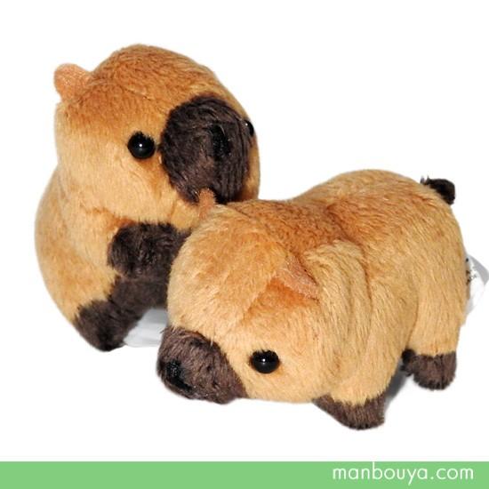 動物 ヤブイヌ ぬいぐるみ ブッシュドッグ 動物園 A-SHOW ムニュマム