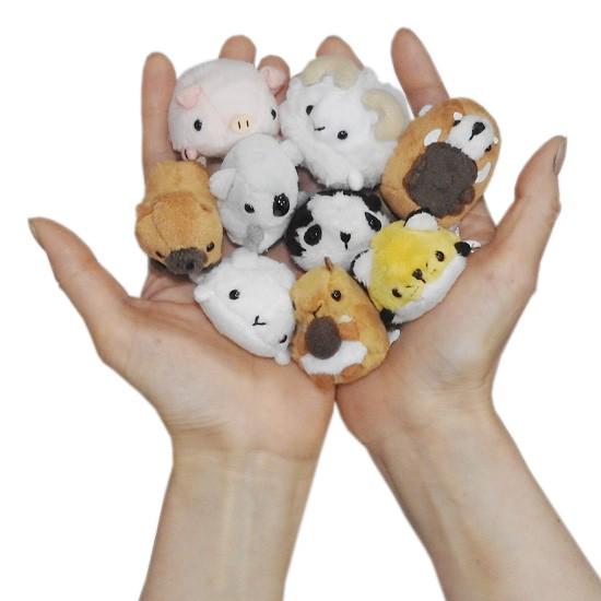 動物 ひつじ ぬいぐるみ グッズ ミニ 動物園 A Show ムニュマムお手玉 ヒツジ 4 5cm ゆうパケット発送可 As 7984 まんぼう屋ドットコム Yahoo 店 通販 Yahoo ショッピング