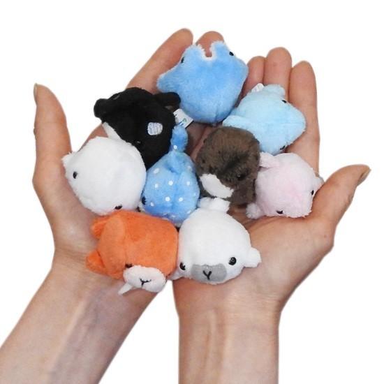 イルカ ぬいぐるみ 水族館グッズ A Show ムニュマムお手玉 イルカブルー 5cm メール便発送可 As 8011 B まんぼう屋ドットコム Yahoo 店 通販 Yahoo ショッピング