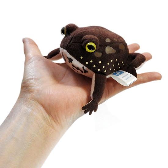 【新品未使用】モチコとおおきなアメフクラカエル　ぬいぐるみ　3体セット モチコとおおきなアメフクラカエル ぬいぐるみ ミント - メルカリ