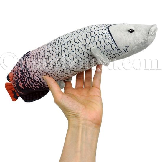ピラルクー ぬいぐるみ 古代魚 A-SHOW 栄商 わくわく図鑑 ピラルク
