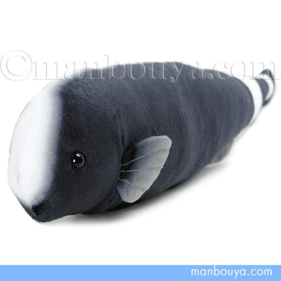 ブラックゴースト ぬいぐるみ 熱帯魚 A-SHOW 栄商 わくわく図鑑 Black Ghost Knife Fish 36cm｜manbouya