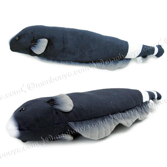 ブラックゴースト ぬいぐるみ 熱帯魚 A-SHOW 栄商 わくわく図鑑 Black Ghost Knife Fish 36cm｜manbouya｜02