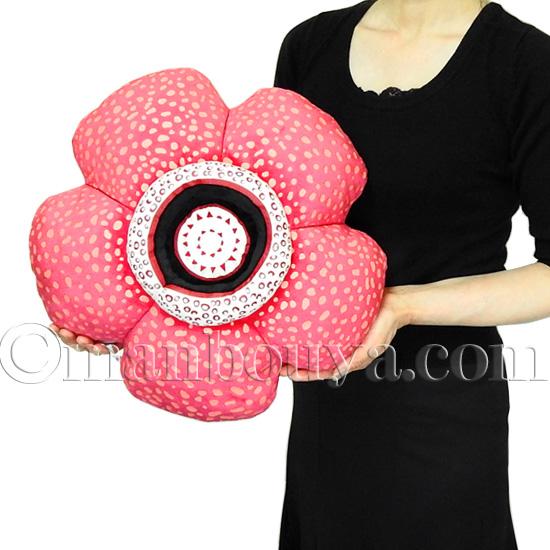 食虫植物 グッズ ぬいぐるみ ウツボカズラ ハエトリソウ ラフレシア A