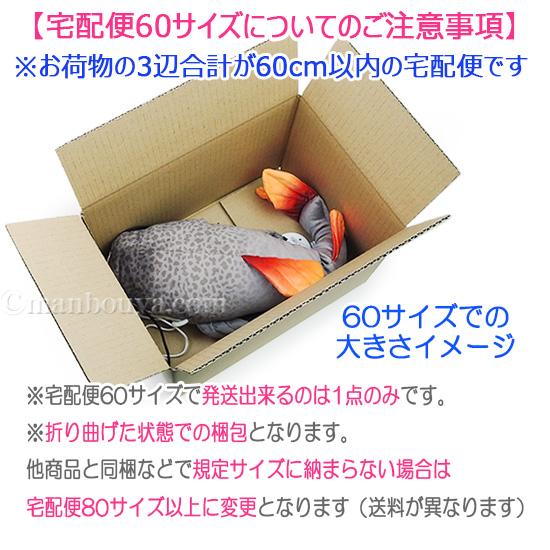 レッドテールキャット ぬいぐるみ ナマズ 淡水魚 A-SHOW 栄商 わくわく