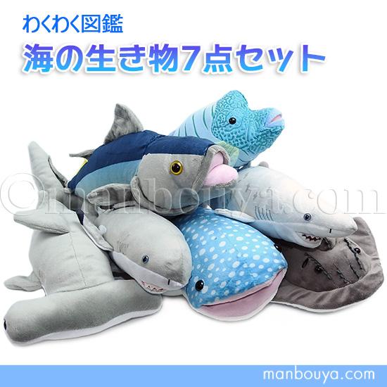 10%OFF 水族館 ぬいぐるみ サメ 魚 海の生き物 A-SHOW 栄商 わくわく