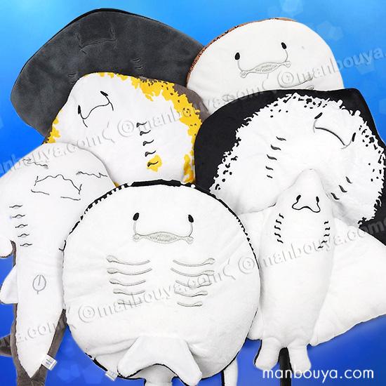 as-waku-set3