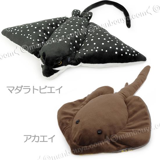 10%OFF エイ ぬいぐるみ 水族館 お土産 A-SHOW わくわく図鑑 エイの