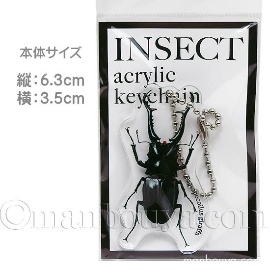 SALE リアル 昆虫 グッズ クワガタ アクリルキーホルダー アクキー
