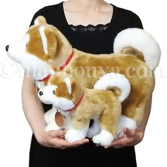 秋田犬 マサル ぬいぐるみ キュート販売 Cute あきたいぬ 立ちポーズ Lサイズ 50cm まんぼう屋ドットコム Cu D0013 まんぼう屋ドットコム Yahoo 店 通販 Yahoo ショッピング
