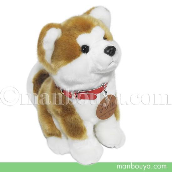 秋田犬 マサル ぬいぐるみ キュート販売 CUTE あきたいぬ 座り M 25cm