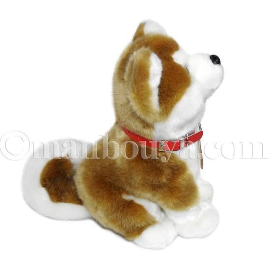 秋田犬 マサル ぬいぐるみ キュート販売 CUTE あきたいぬ 座り M 25cm