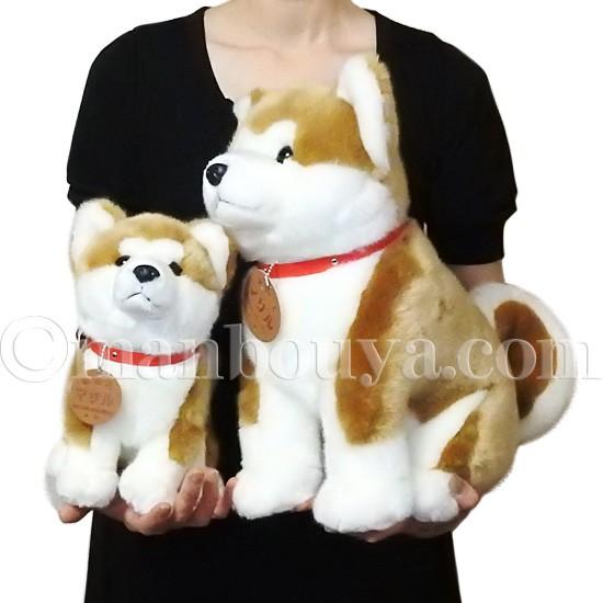 秋田犬 マサル ぬいぐるみ キュート販売 CUTE あきたいぬ 座り M 25cm
