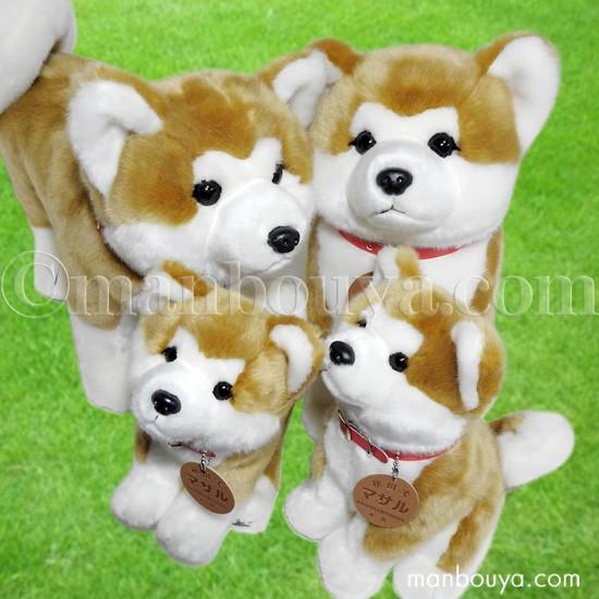 秋田犬マサル大サイズ、中サイズ Amazon.co.jp: 秋田犬まさるぬいぐるみ特大サイズ : おもちゃ