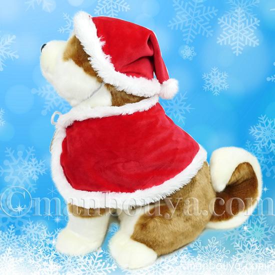 秋田犬 マサル ぬいぐるみ クリスマス キュート販売 CUTE あきたいぬ