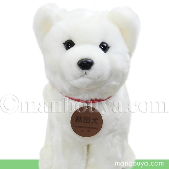 秋田犬 ぬいぐるみ 白毛 保存会 キュート販売 Cute 座り ホワイト 黒鼻 Lサイズ 37cm Cu D0019 まんぼう屋ドットコム Yahoo 店 通販 Yahoo ショッピング