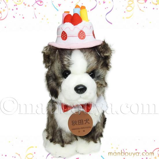 秋田犬 ぬいぐるみ アクセサリー セット キュート販売 Cute あきたいぬ M 虎毛 23cm ハッピーケーキ帽子 Cu D00 Cake まんぼう屋ドットコム Yahoo 店 通販 Yahoo ショッピング
