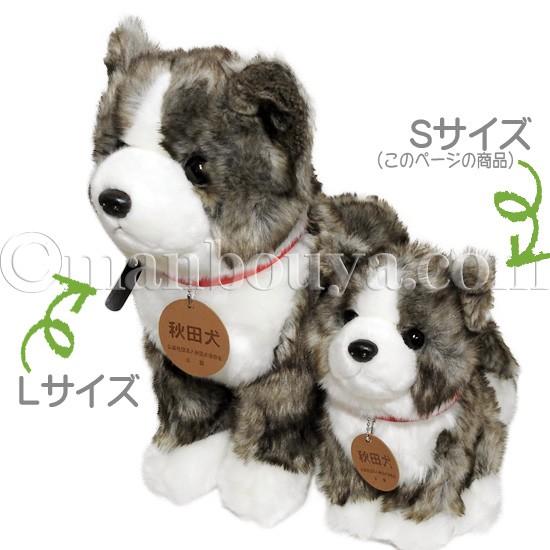 秋田犬 ぬいぐるみ 虎毛 保存会 キュート販売 CUTE 座りポーズ Mサイズ 23cm｜manbouya｜06