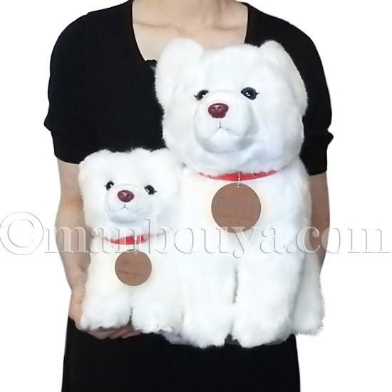 秋田犬 ぬいぐるみ 白毛 保存会 キュート販売 CUTE 座り ホワイト