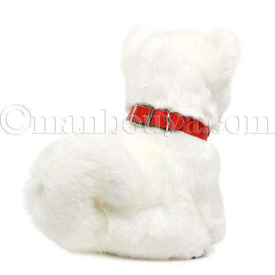 ぬいぐるみ 秋田犬 子犬 白毛 保存会 キュート販売 CUTE よちよち秋田