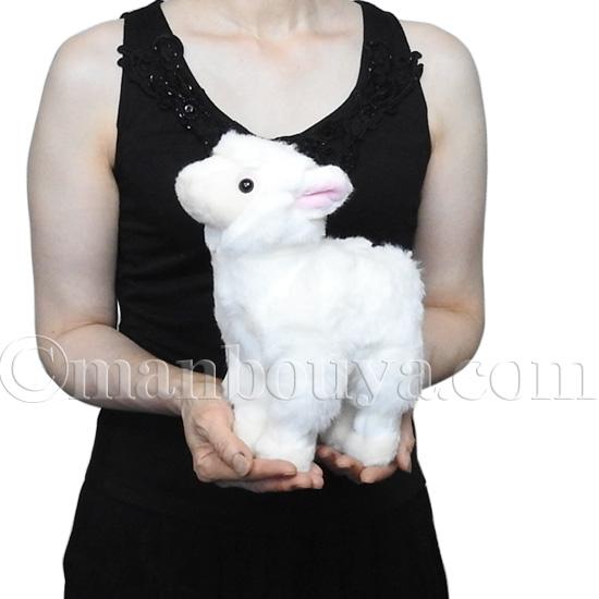 アルパカ ぬいぐるみ キュート販売 CUTE ファームコレクション ある