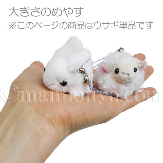 うさぎ ぬいぐるみ スマホ 携帯 液晶クリーナー ストラップ マスコット キュート販売 Cute ウサギ 5cm メール便発送可 Cu F00 まんぼう屋ドットコム Yahoo 店 通販 Yahoo ショッピング