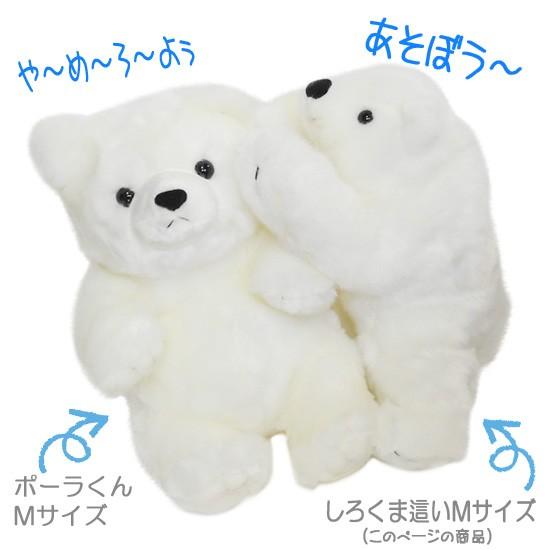 くま ぬいぐるみ シロクマ キュート販売 CUTE マリン