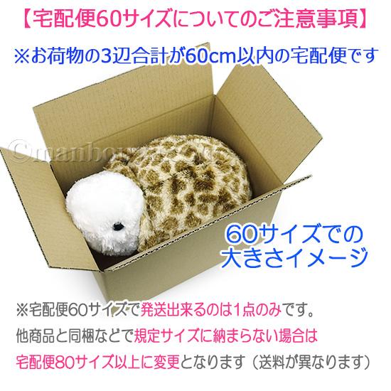 カメ ぬいぐるみ キュート販売 CUTE marine collection 水族館