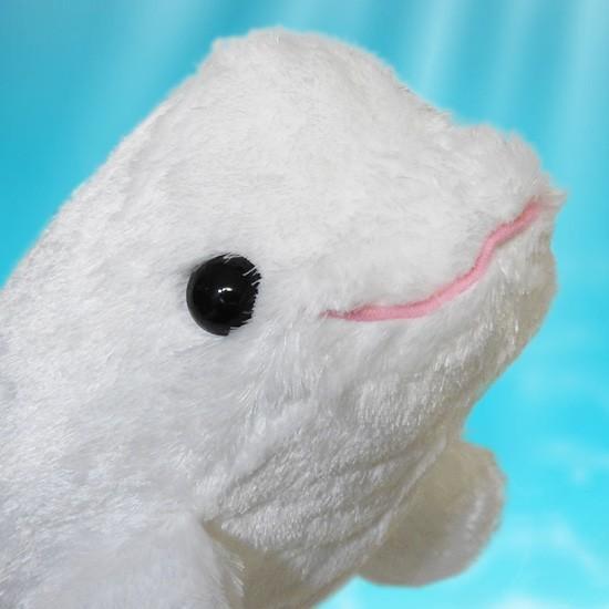 白イルカ ぬいぐるみ キュート販売 CUTE marine collection