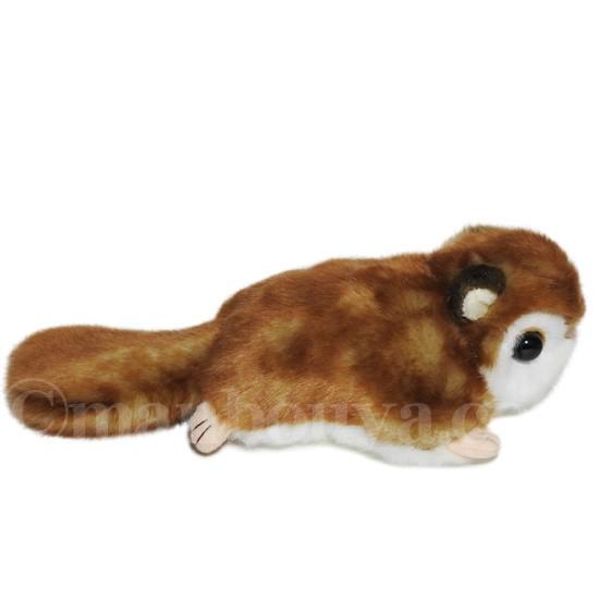 動物園 ぬいぐるみ モモンガ キュート販売 CUTE forest angel