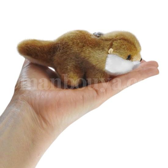 ぬいぐるみ カワウソ かわいい 動物 キュート販売 cute フォレスト