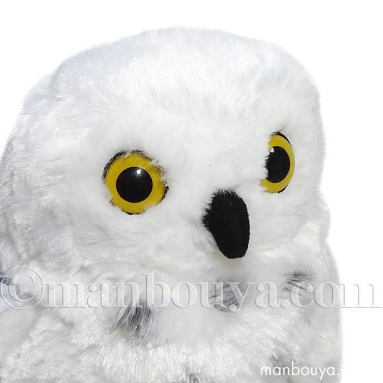 ふくろう ぬいぐるみ 鳥 雑貨 キュート販売 CUTE シロフクロウ M